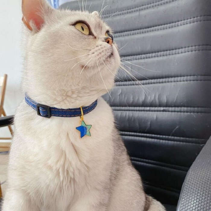 Pet Cowboy Cat Dog Collar With Bell Pet Accessories, Size:S 16-32cm, Style:Five-pointed Star