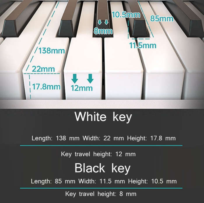 Wersi 88-Key Foldable Portable Electronic Piano Keyboard For Beginners Practice Piano, USB(Black)