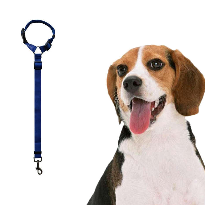 Pet Car Safety Rope Ring Dog Car Seat Belt Rear Seat Traction Rope(Deep Blue)