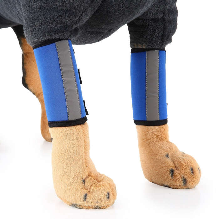 Pet Knee Protector Dog Surgery Injury Protective Cover, Size: M(Blue Reflection)