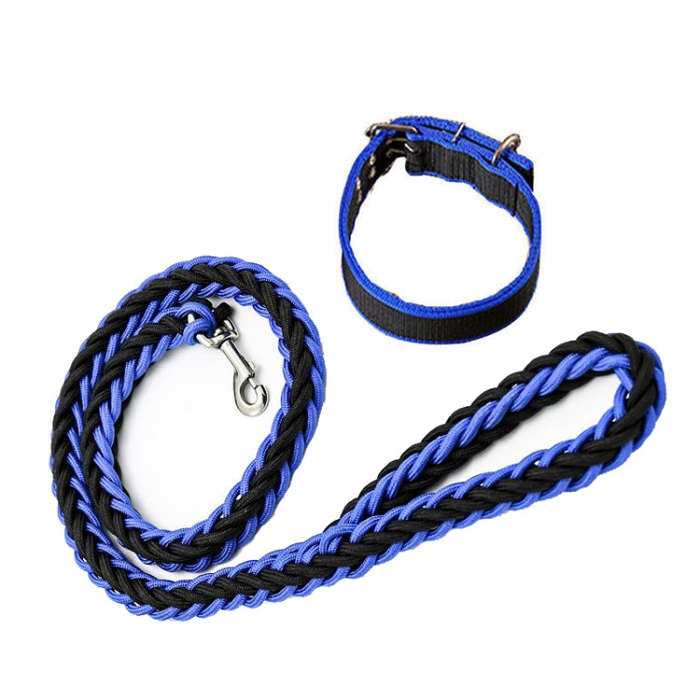 Dog Leash Braided Belt Pet Explosion-Proof Leash, Size: L(Collar Blue+Black)