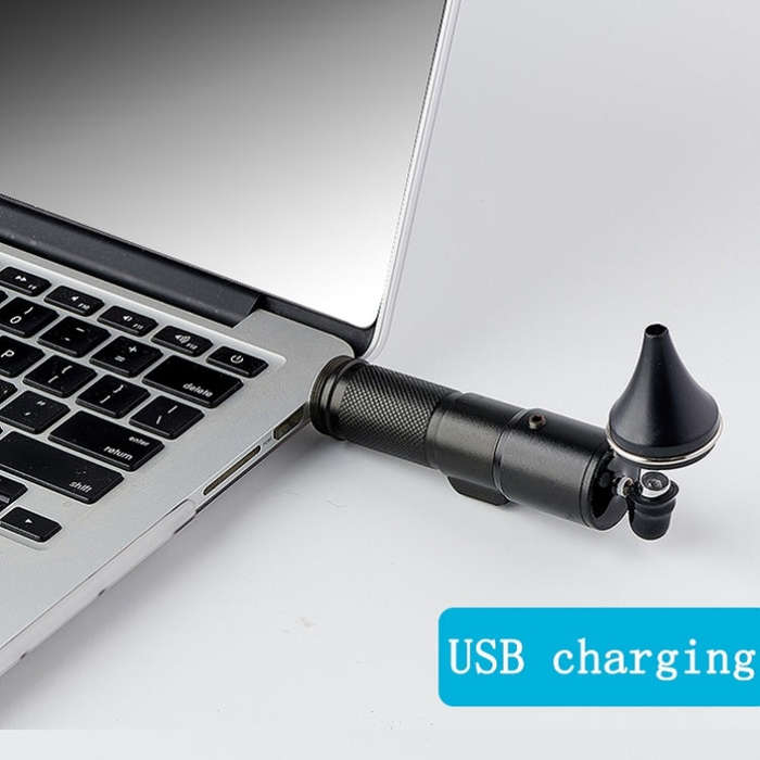 Ear Cleaning Hand Lamp USB Charging Otoscope(Elegant Gold)