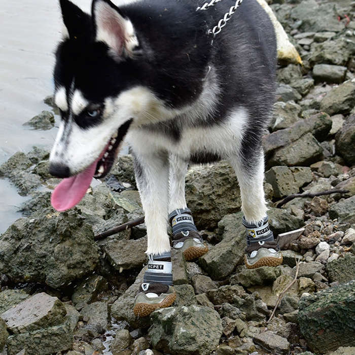 4 PCS / Set HCPET Dog Shoes Breathable Net Dog Shoes, Size: No.2 4.5cm(Gray)