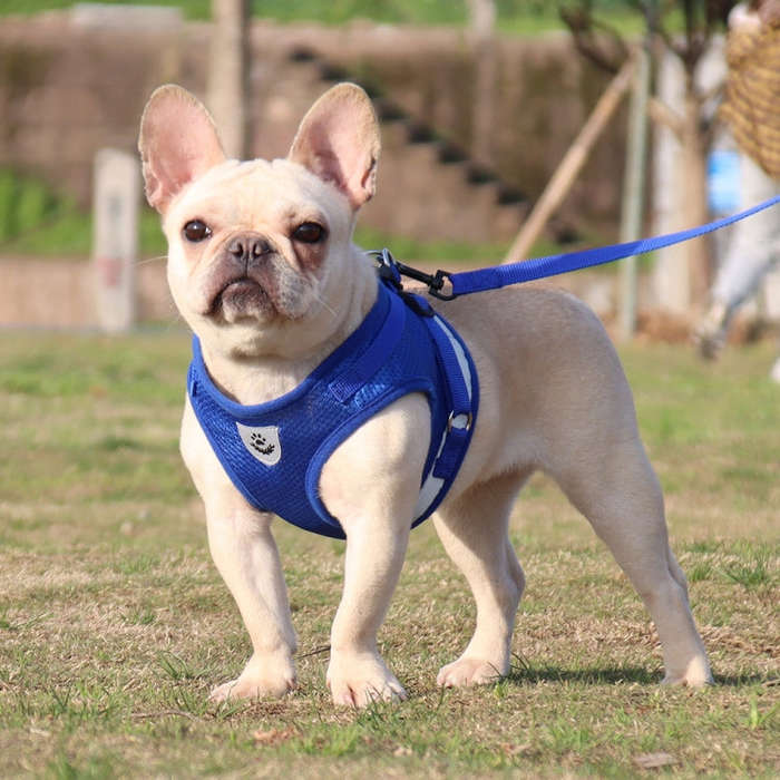 BL-844 Pet Chest Straps Reflective Breathable Dog Rope, Size: XS(Blue)