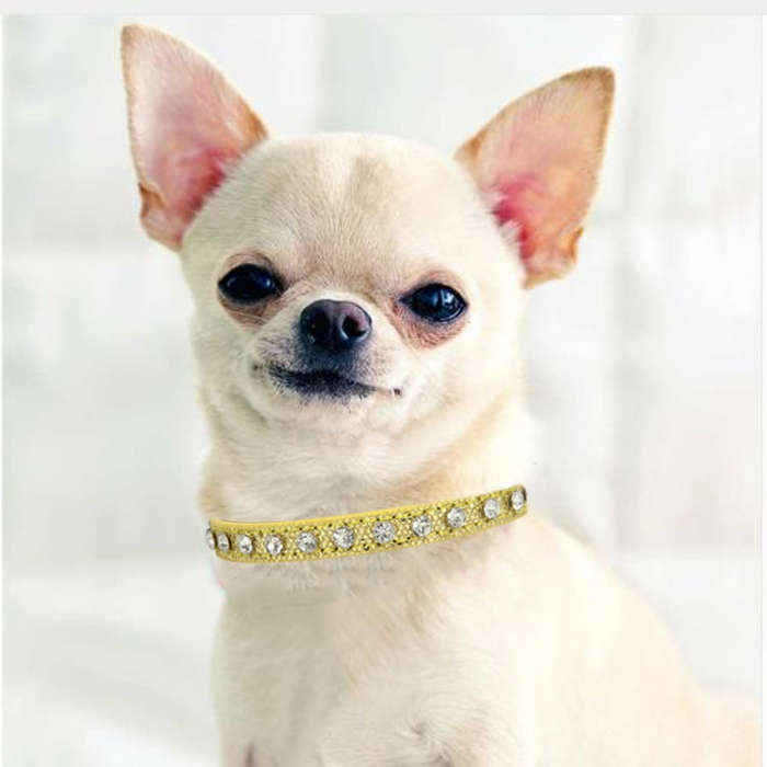 1.5 x 30cm Glitter Diamond Cat Neck Collar Decorative Supplies, Color: No Diamond Golden
