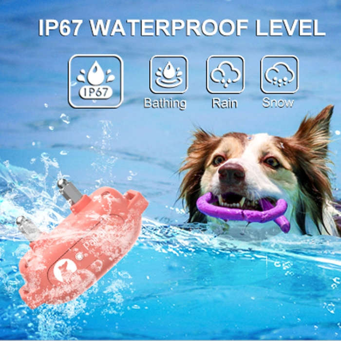 PaiPaitek PD523 1000m Remote Control Rechargeable Waterproof Dog Trainer