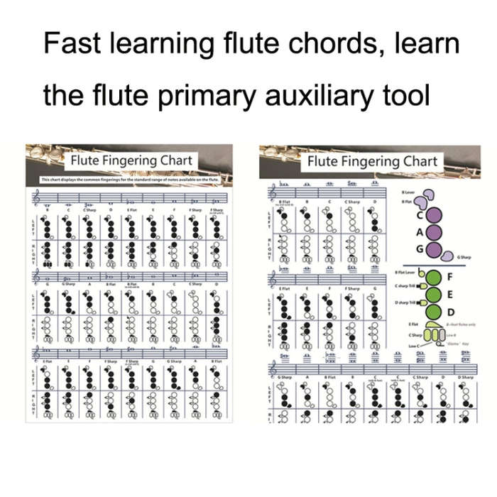 Coated Paper Flute Chord Fingering Practice Chart Staff Chord Fingering(Small)