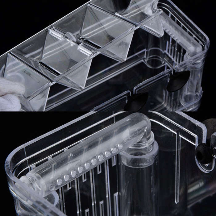 Extra Large Peacock Fish Double Layer Transparent Breeding Isolation Box Aquarium Breeding Box