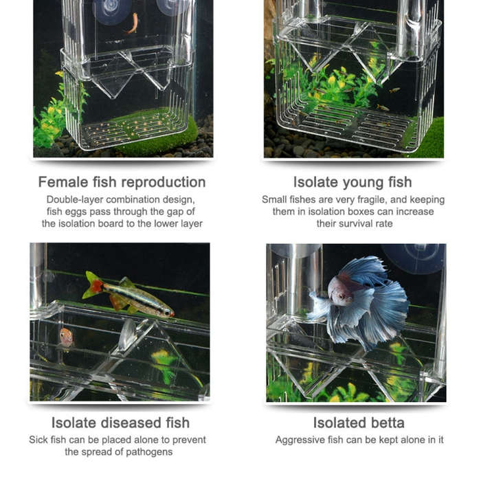 Extra Large Peacock Fish Double Layer Transparent Breeding Isolation Box Aquarium Breeding Box