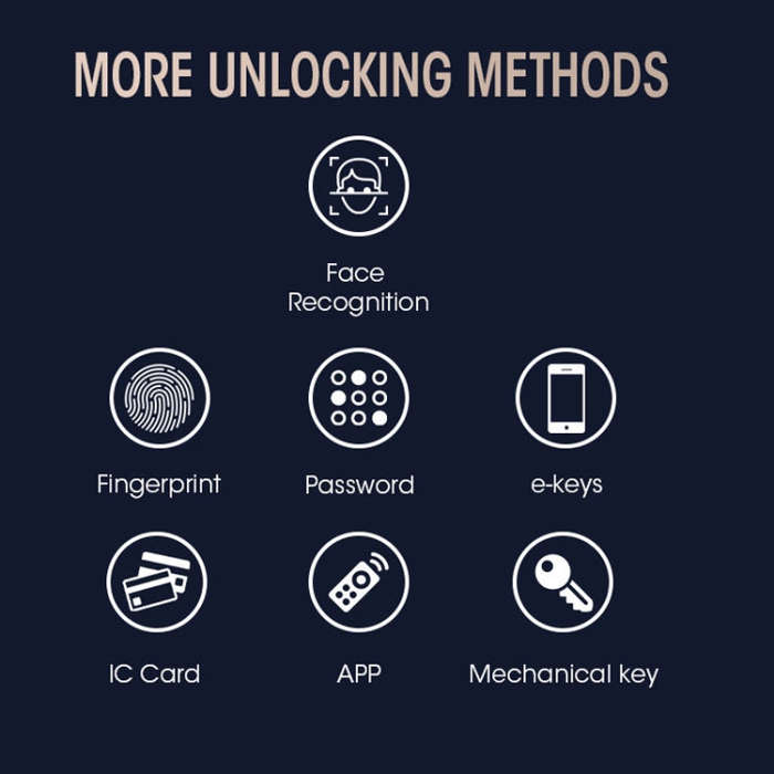 T100A  3D Face Recognition Fingerprint Code Card Digital Door Lock(Space Gray)