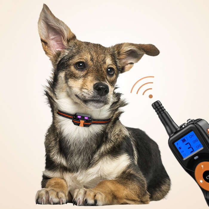 Smart Electronic Remote Control Dog Training Device Waterproof Pets Bark Stopper, Size: For-Two-D...