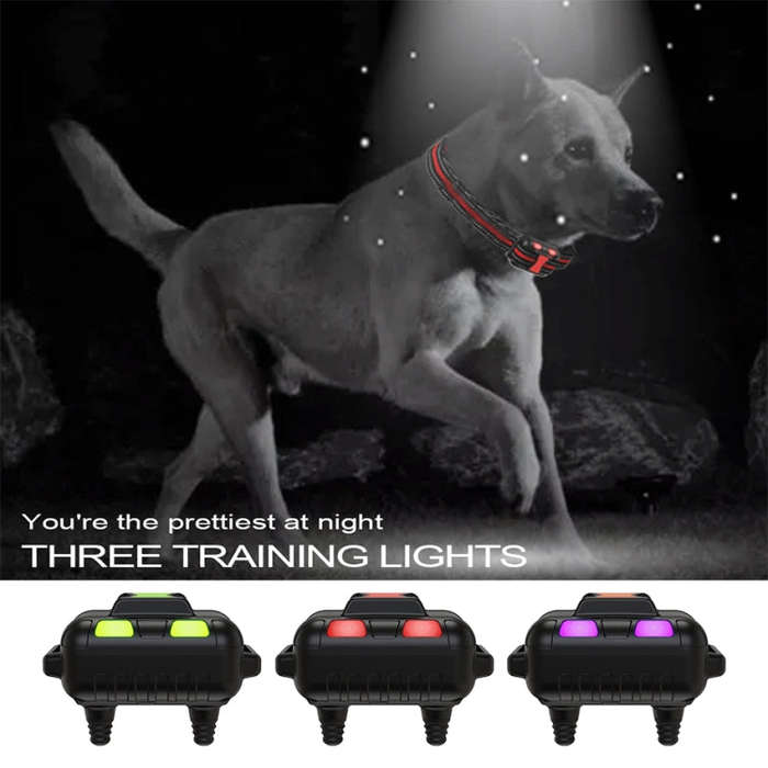 Smart Electronic Remote Control Training Device Waterproof Pets Bark Stopper, Size: For-Two-Dog(Red)