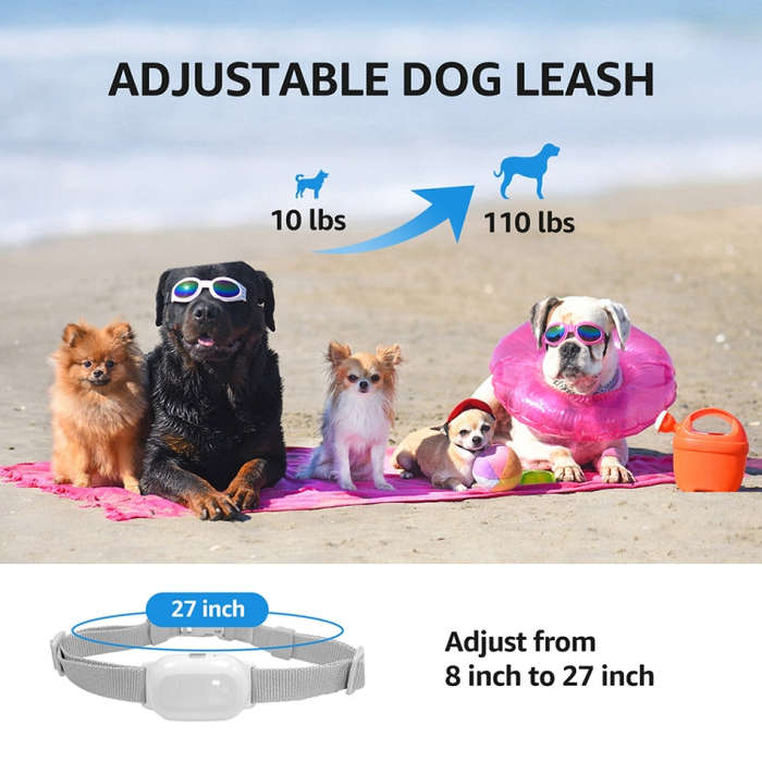 Smart Waterproof Collar For Pets Remote Control Training Device, Size: For-Two-Dog(Black)