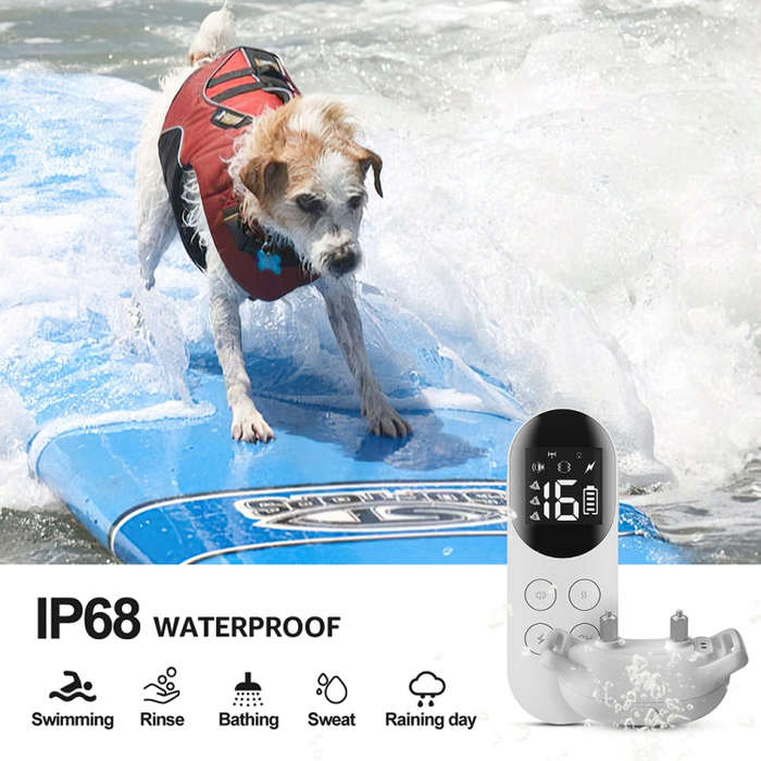 Smart Waterproof Collar For Pets Remote Control Training Device, Size: For-Two-Dog(Black)