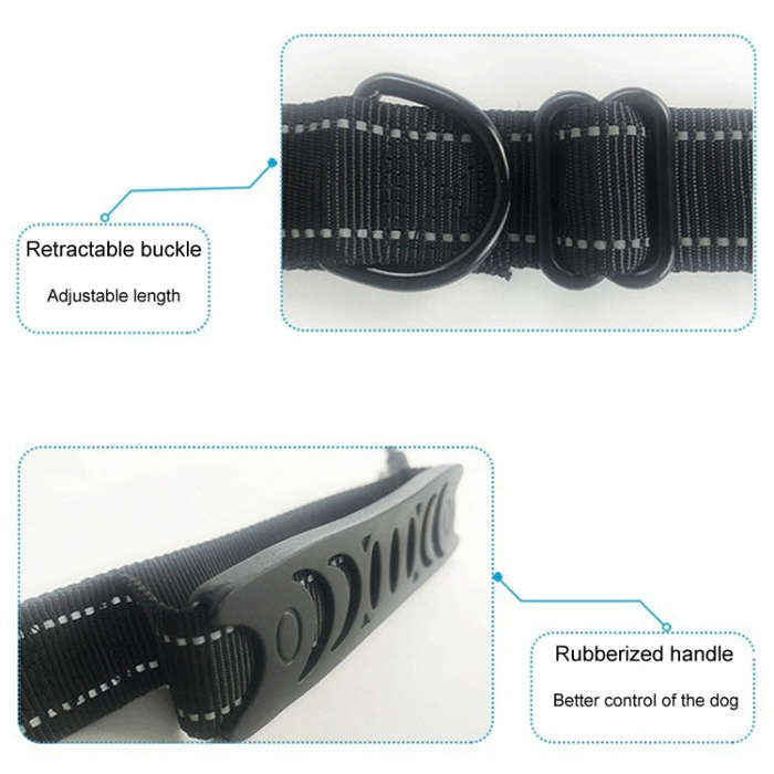 2.5 x 150cm Pet Vehicle Safety Leash Multifunctional Towing Belt Dog Leash(Black)