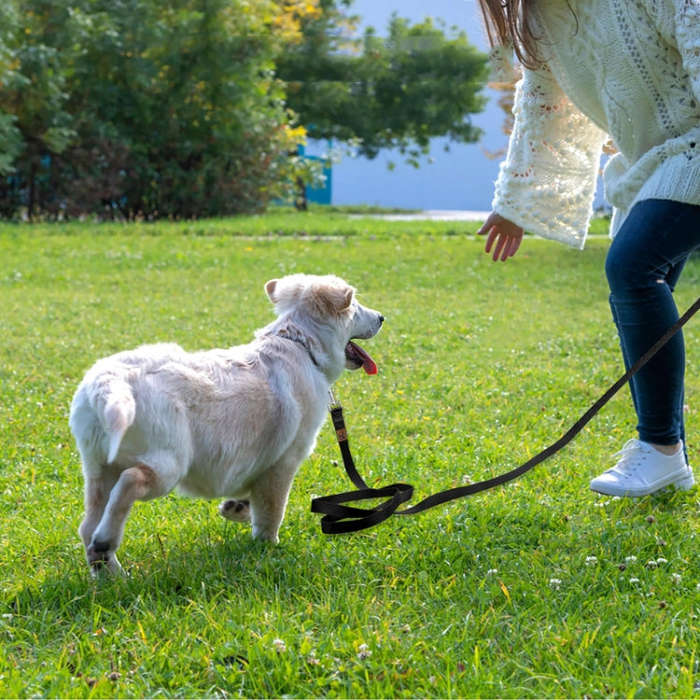 5m Pet Tracking Towing Leash Multifunctional Dog Walking Leashes(Black)