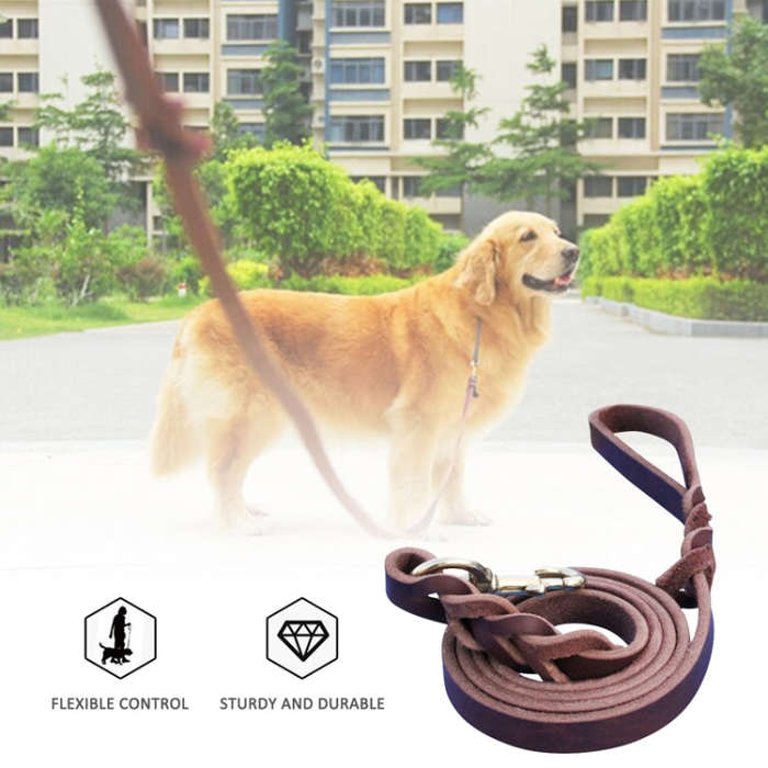 1.2 x 150cm Pet Outing Cowhide Towing Leash Dog Training Harness(Bronze Hook)