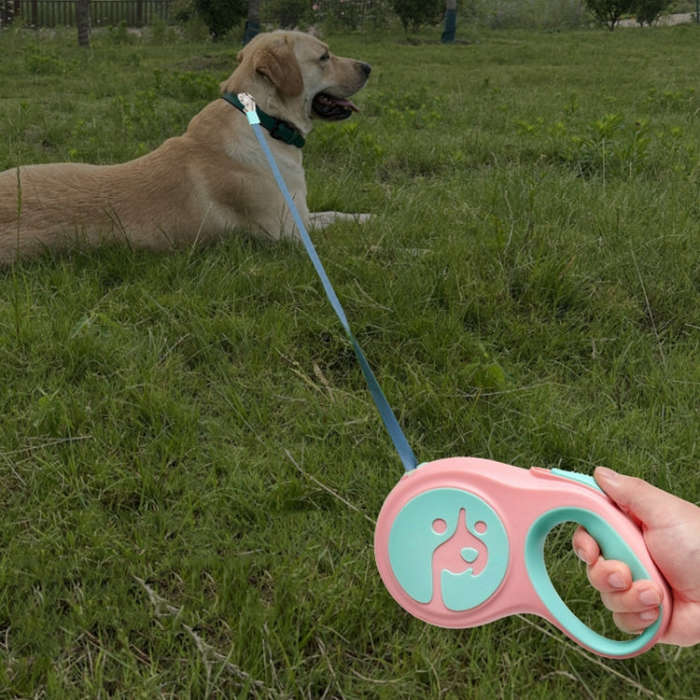5m Small And Medium Dog Walking Leash Automatic Retractable Portable Pet Leash(Grey)