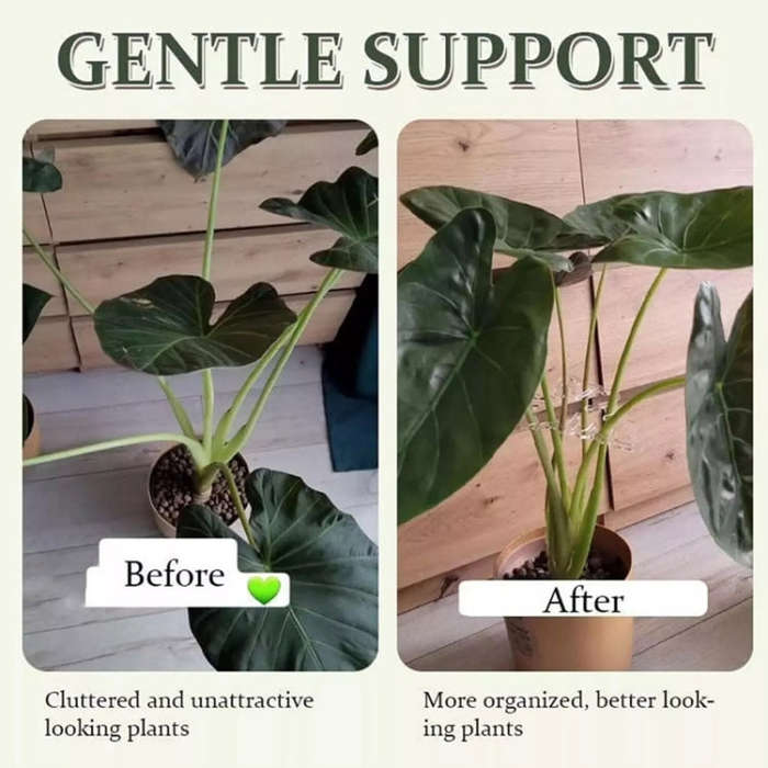 BJ138-002 Plant Roots Fixing Bracket Gardening Care Tools