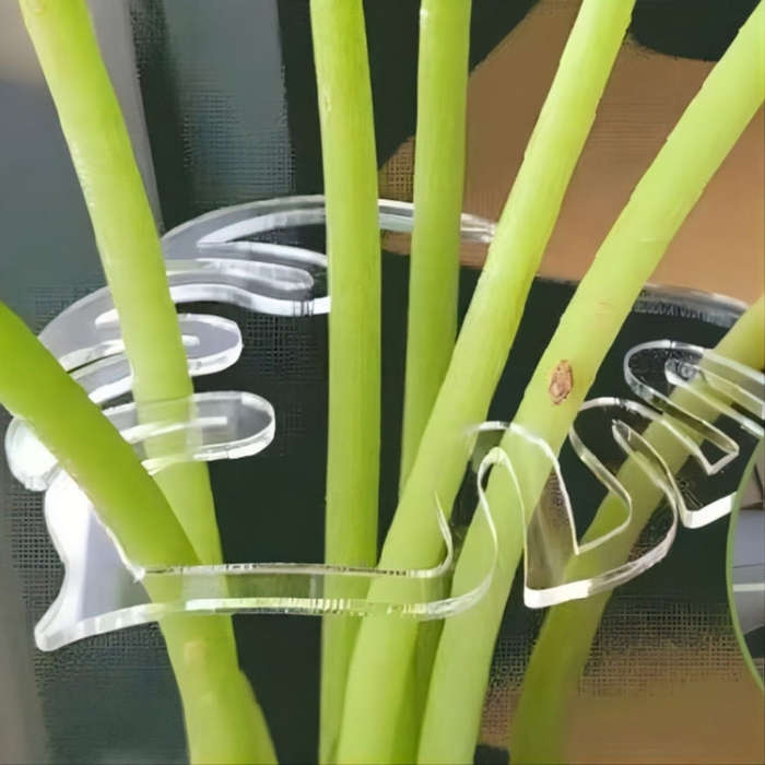 BJ138-002 Plant Roots Fixing Bracket Gardening Care Tools