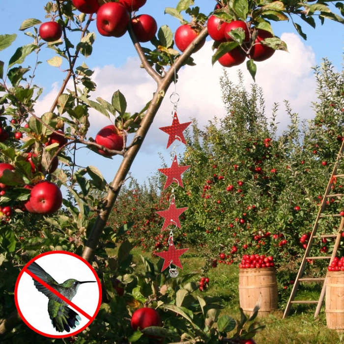 Garden Bird Repellent Decorative Pentagram Hanging Laser Reflective Piece(Red+Silver)