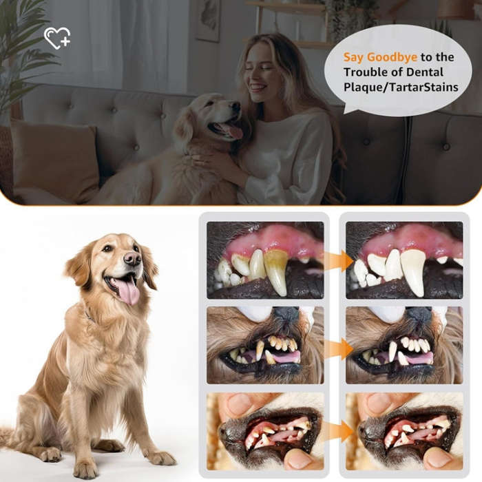 Pet Ultrasonic Teeth Cleaner Dog Electric Teeth Cleaning Tool Home Dentistry Tartar Remover(Black)
