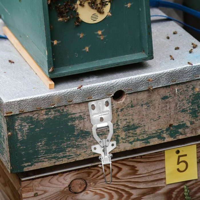 Beehive Buckle Connector Bee Box Anti-theft Fastener Beekeeping Tools(FA88990)