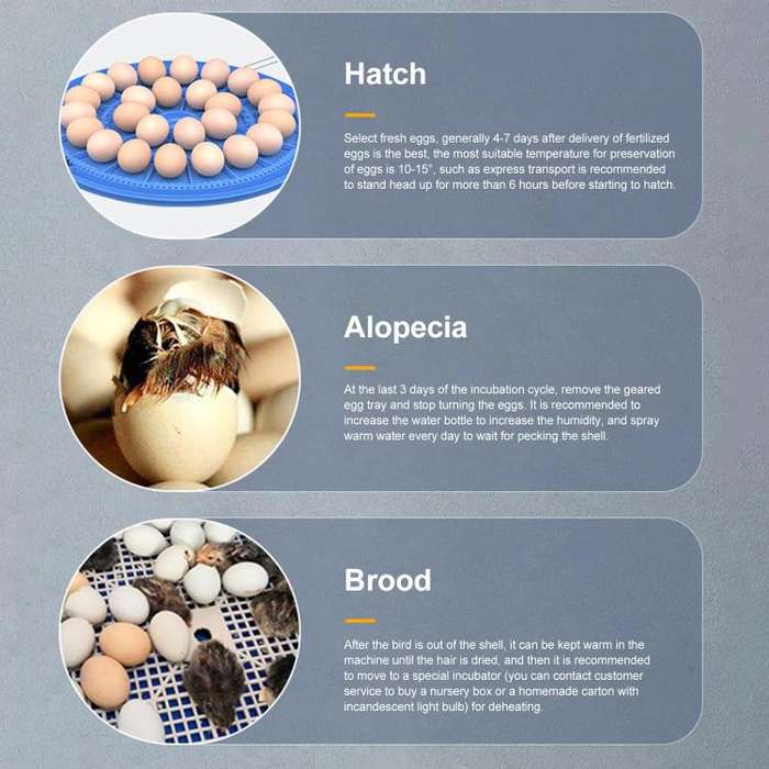 52pcs Egg Automatic Incubator Supports 12V And 220V Power Supply, EU Plug