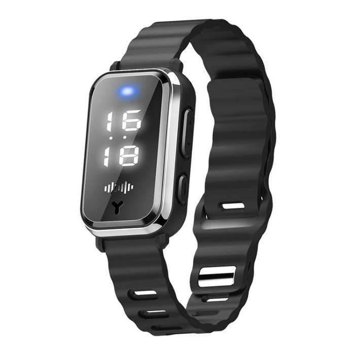Antistatic Mosquito Repellent Bracelet Static Elimination Watch(Black)