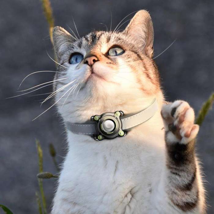 For AirTag Tracker Waterproof Protective Case Puppy Kitten Collar Metal Buckle Model Protective C...