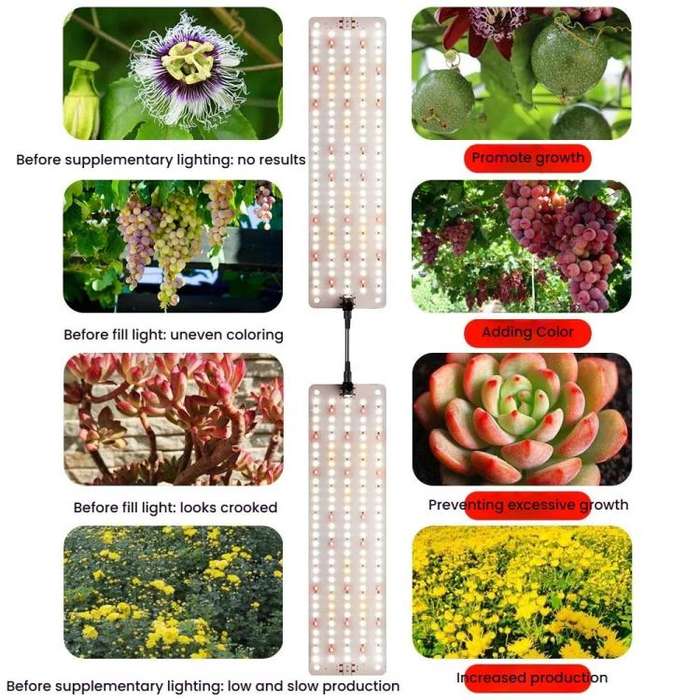 Cold Light LED Parallel Quantum Board Indoor Plant Growth Lamp, Model: Four Heads(EU Plug)