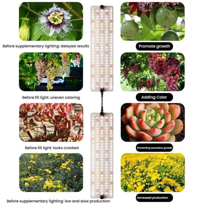 Cold Light LED Series Quantum Board Indoor Plant Growth Lamp, Model: Two Heads(EU Plug)