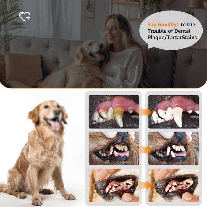 Pet Ultrasonic Teeth Cleaner Dog Tooth Brushing Kit Plaque Tartar Remover Dental Care Tool, Spec:...
