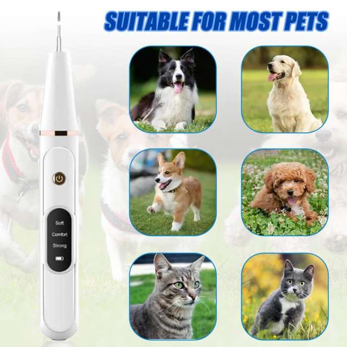 Pet Ultrasonic Teeth Cleaner Dog Tooth Brushing Kit Plaque Tartar Remover Dental Care Tool, Spec:...