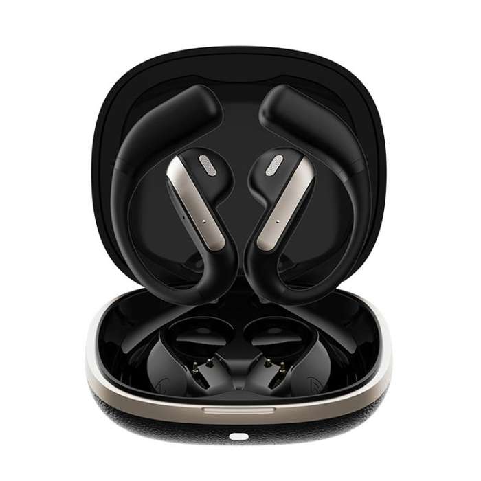 164 Languages Simultaneous Interpretation Intelligent Bluetooth Earphones(Black)