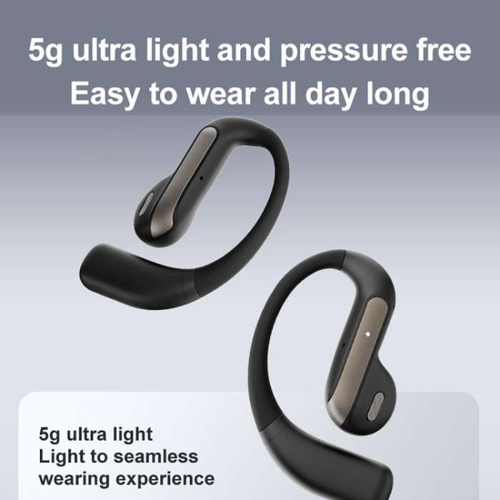 164 Languages Simultaneous Interpretation Intelligent Bluetooth Earphones(Black)