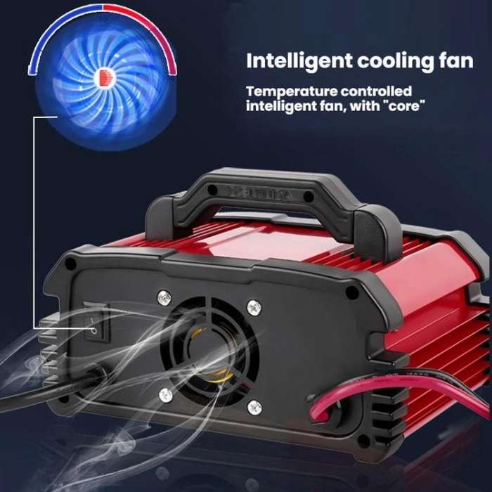 DMD 12V/24V Universal Intelligent Pulse Repair Battery Charger(EU Plug)
