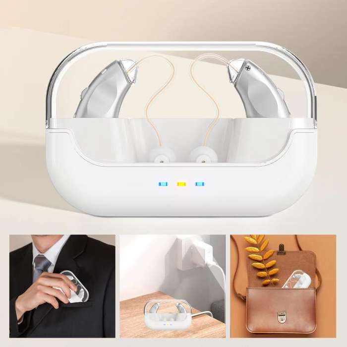 Behind-The-Ear Hearing Aids With Charging Case Smart Noise Cancelling & No Feedback Whistling(Sil...