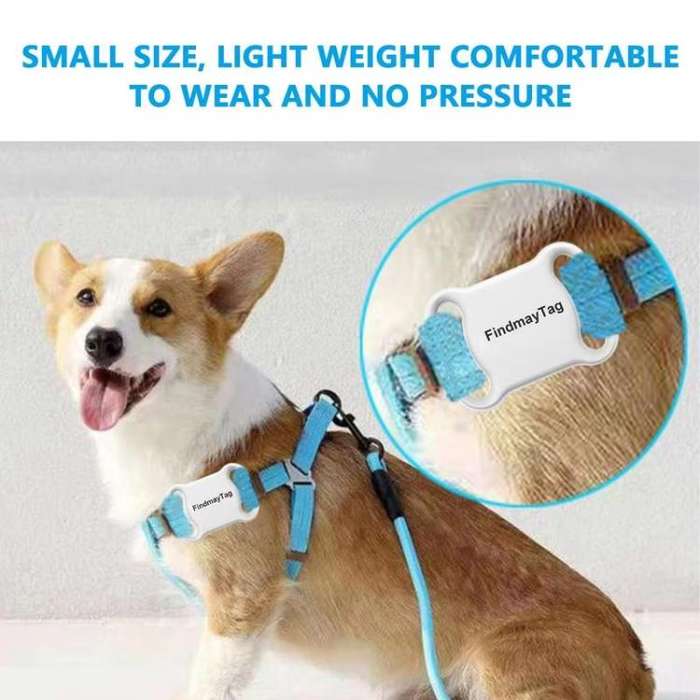 GPS Tracker For Cats & Dogs Global Real-Time Tracking Collar Anti-Loss Waterproof Pet Locator Com...