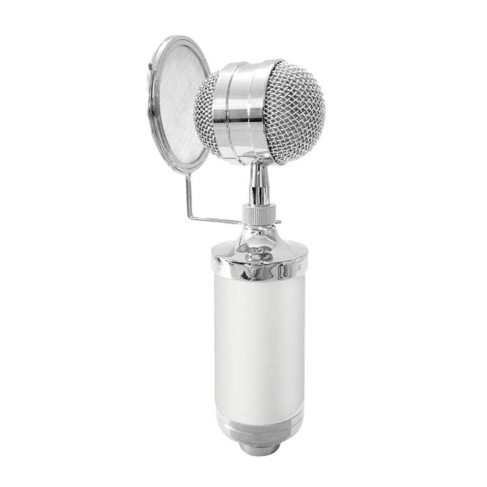 3000 Home KTV Mic Condenser Sound Recording Microphone with Shock Mount & Pop Filter for PC & Lap...