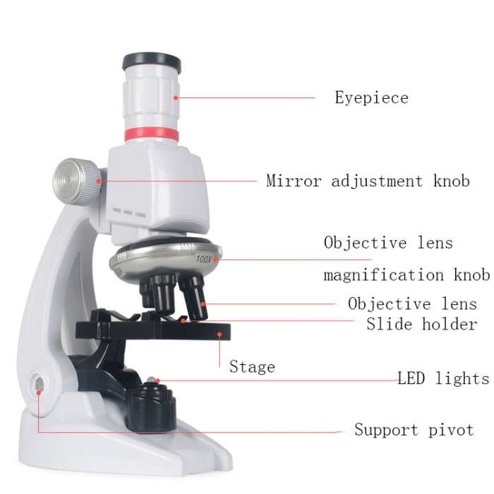 Early Education Biological Science 1200X Microscope Science And Education Toy Set For Children L