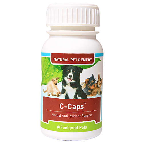 C-Caps: Natural remedy supports dogs & cats with cancer
