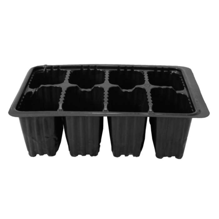 8 Cell Seedling Tray