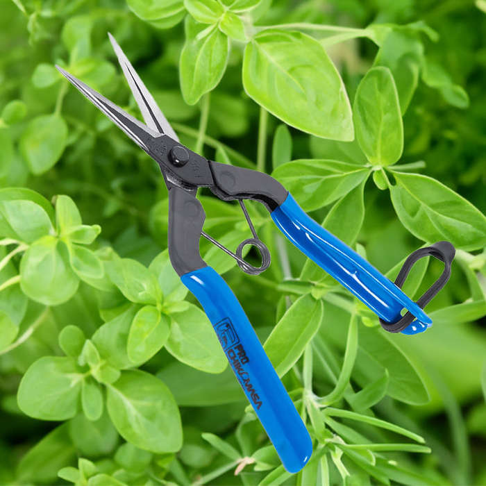Chikamasa T-552 7" Trimming Scissors