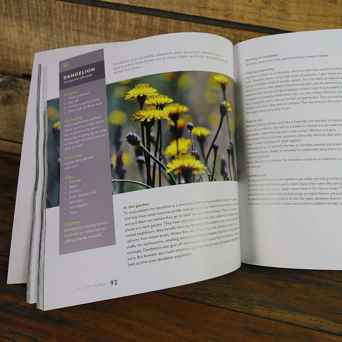 Janes Delicious A-Z of Herbs