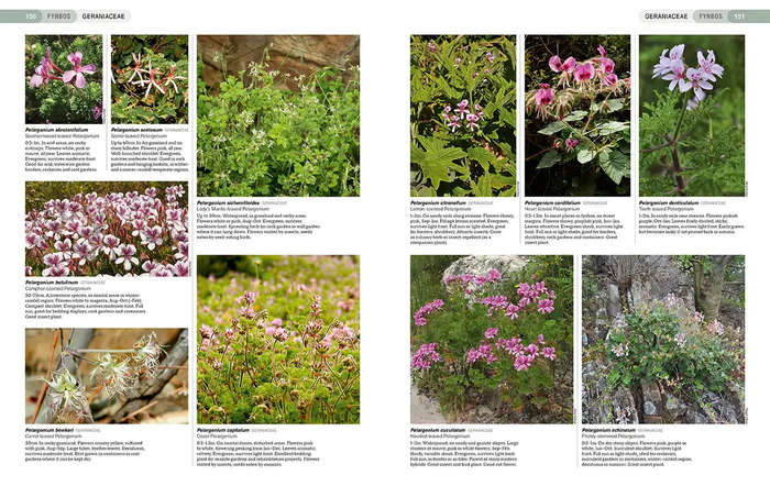 South African Indigenous Garden Plants: The Gardeners Guide