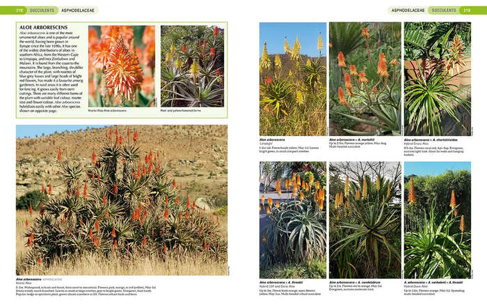 South African Indigenous Garden Plants: The Gardeners Guide