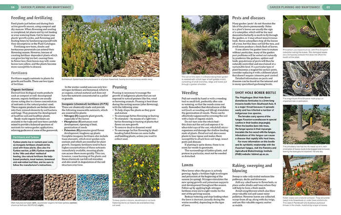 South African Indigenous Garden Plants: The Gardeners Guide