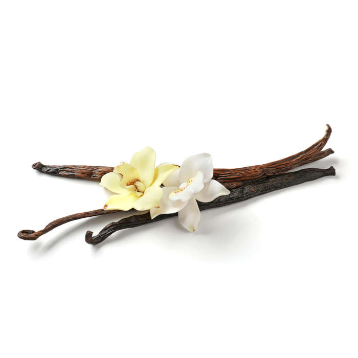 Vanillin 10 Concentrate (TFA)