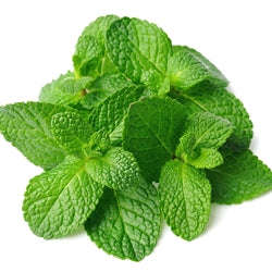Spearmint Concentrate (TFA) - 10ml
